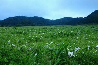 東源哭泣湖